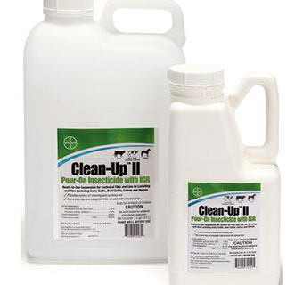 Clean-up II 