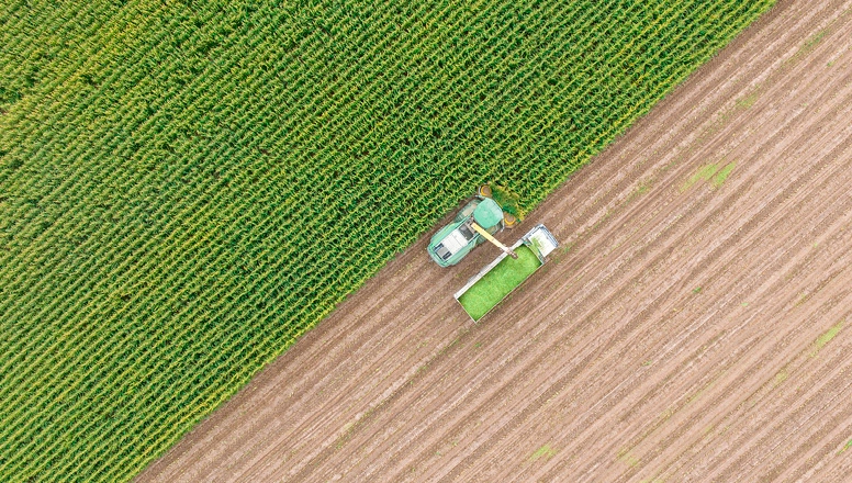 silage being harvested