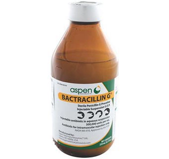 Aspen Bactracillin G 250mL 