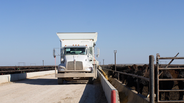 Truck delivering feed to a feedlot
