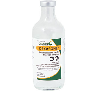 Dexasone® Injection 250 ML (RX)