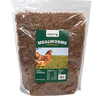 Dried Mealworms